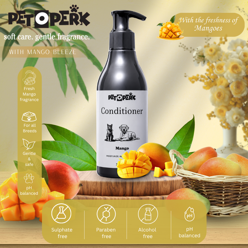 Mango Conditioner